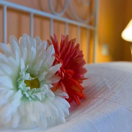 Apartamento Casa Ursula A 800 M Dal Mare